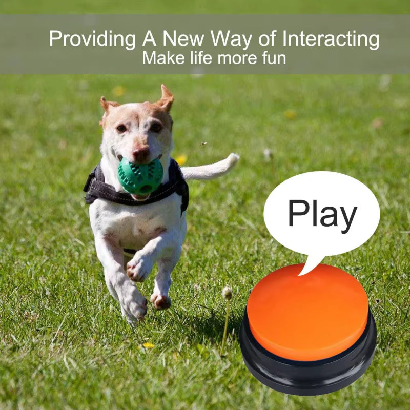 Coloured Pet Voice Recording Button 